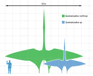 Two different species of Quetzalcoatlus to scale with a human. Credit: Matt Martyniuk, Mark Witton and Darren Naish CC By 3.0