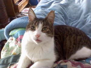 132672_600878811918_157791_o