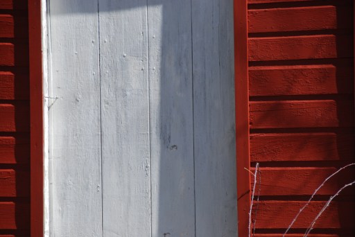 Our shed door. Photo by Evan. All Rights Reserved.