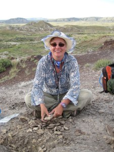 I'm splitting rocks looking for plant fossils.