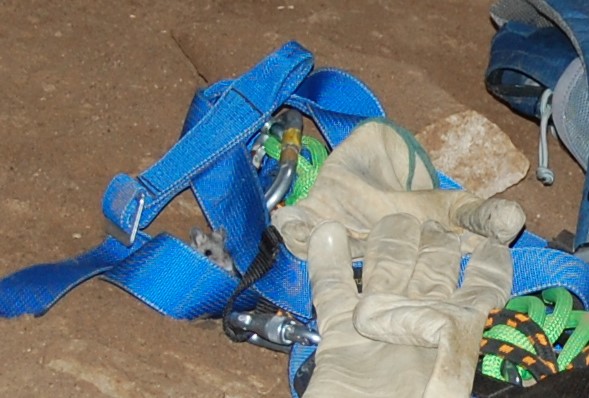 We had a fuzzy visitor in the cave today. Apparently, the cave does support a small population of cute fuzzies.