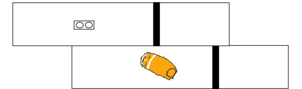 A left-lateral strike slip fault. This is looking down on the fault from above. The dark band was once continuous across the fault. Charlie is wondering how is food bowl moved