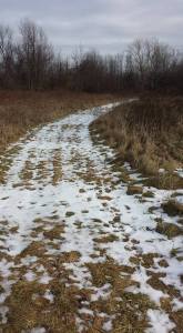 The main trail onto our land. The rest of the trails aren't nearly so clear.