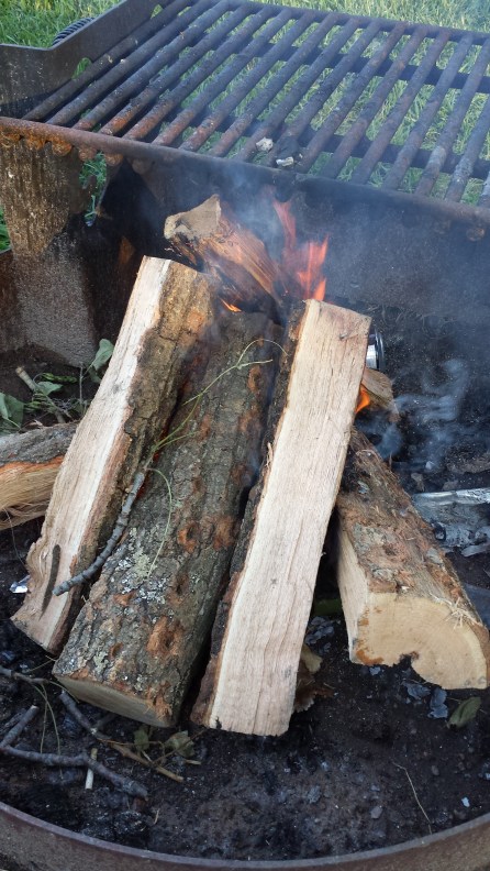 Campfire. Totally not allowed in Wyoming.