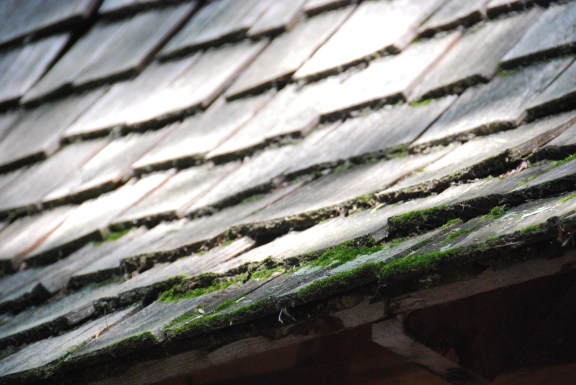 Rough roof