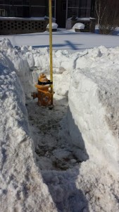 Same hydrant, last year.