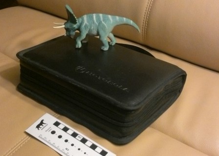 Now with Triceratops and a scale bar. 