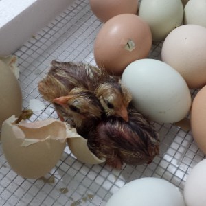 Look how cute we are.