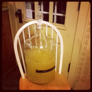 Here's the mead after fermenting for two and a half weeks in a five gallon carboy.