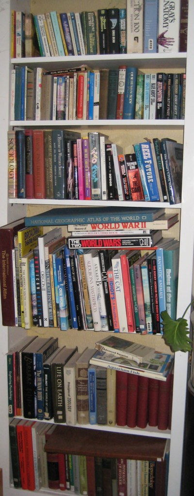 Mostly coffee table books, with a little fiction and a copy of Gray's Anatomy for good measure.