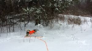 Another leap toss. How magnificent. 
