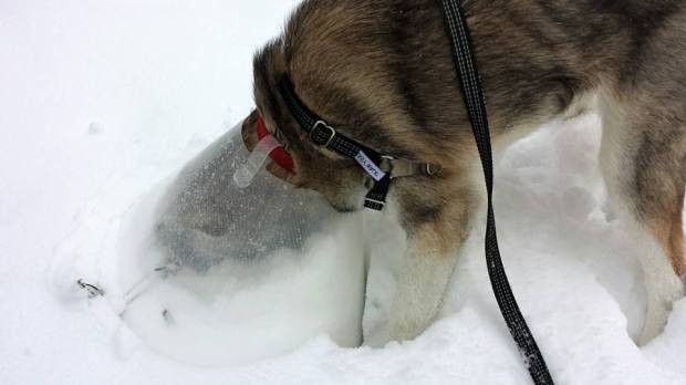 Loading the barrel again. This test should be successful.