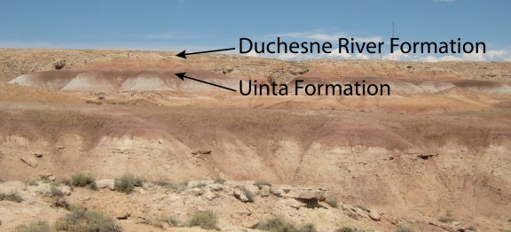 Photo showing the contact between the Duchesne River Formation and the Uinta Formation. Arrows indicate where the identity of the rock unit is certain.