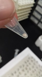 The finished, much more finely ground powder, ready for analysis.