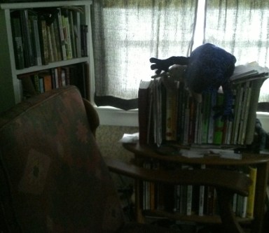 Or on the other side of the bed, my little writing nook (with blue frog and eurypterid in supervisory capacity).