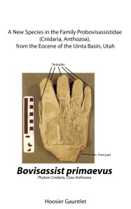 The cover of my book that includes Eubosassist. The product of the eight-hour writing challenge.