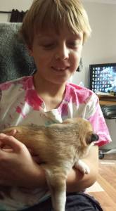 Not quite sure how to hold the pup. Comet is 2 weeks old here.