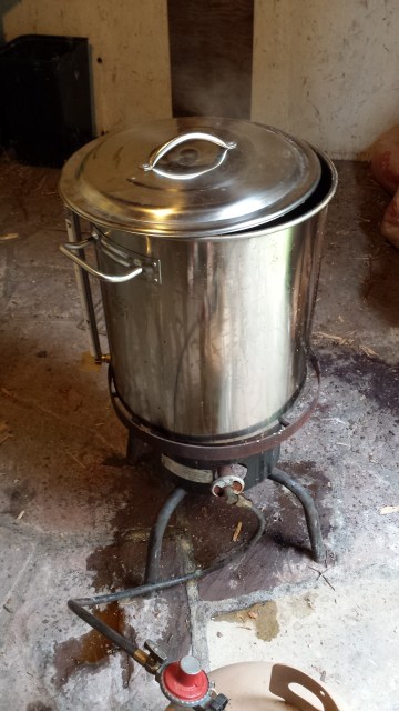 What's cooking in Penny's kettle? Why it's wort! 