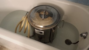 Just chillin' in the tub.