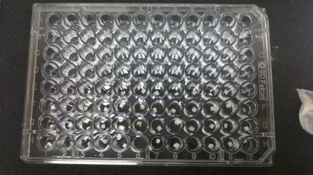 Here they are. The lower half of the tray has one complete run's worth of cubes.