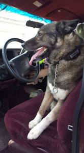 'It's an automatic? Good. I can't drive stick.'