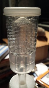 The bubbles in the airlock are particularly photogenic today...