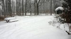 The driveway and picnic heap, er... table.