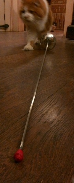 WIN_20140116_183529 (2)