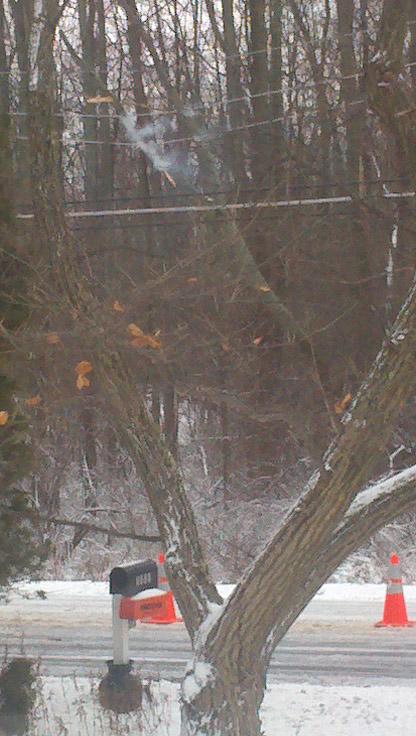 A tree leaning on the power lines in front of our house. This is just before massive fireballs and breaking wires!