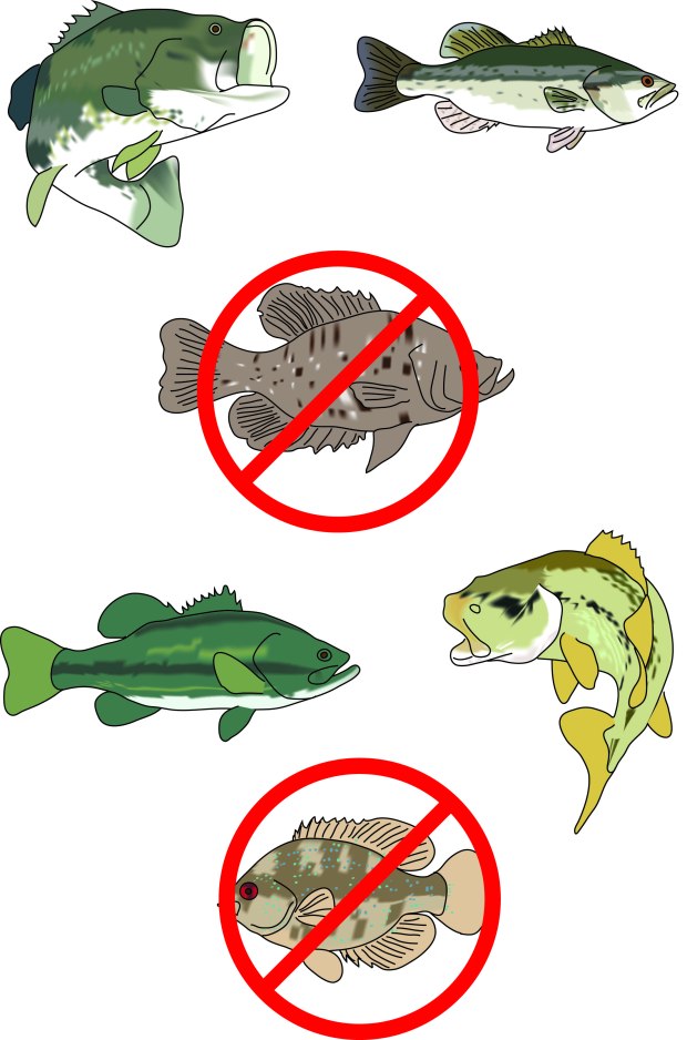 A visual pop-culture pun. Do you get it?