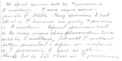 My hand written thoughts expressing my suspicions about whether Phenacodus and Tetraclaenodon were really different.