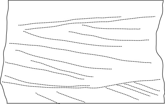 Tracings of some of the more obvious cross-beds in the above rock.