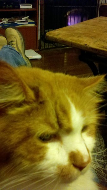 He never lets an opportunity pass in which he can remind me how to chill out.