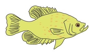 Not sure I'm totally pleased with this drawing, but whatever...