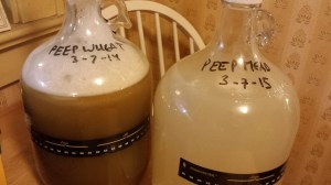 The yeast is pitched. Now hoping for fermentation.