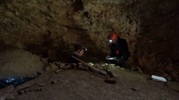 Justin (left) and Juan (right) excavating a metapodial bone. 