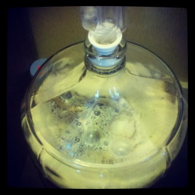 After 48 hours, the yeast is enjoying itself!