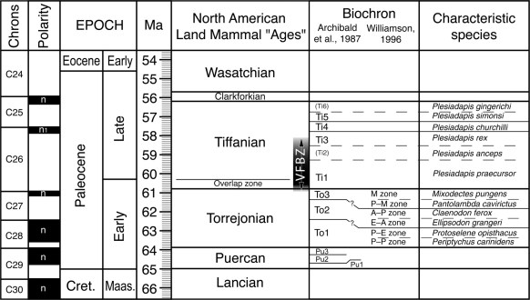 Torrejonian and Tiffanian biostratigraphy in The Breaks. From the published version of my work in Rocky Mountain Geology