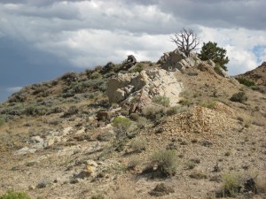 Am I the only one who sees the bull in deep thought here?