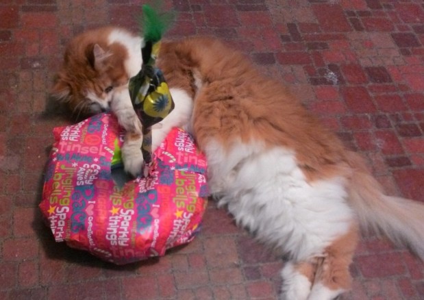 WIN_20131225_084913 (2)