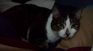 "Shut off the light! I'm trying to sleep here!"