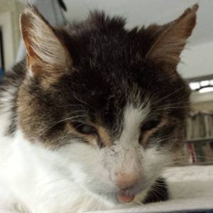 10958850_10100346041836218_1181490317891241017_o