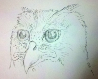 Portrait of a bird-man.