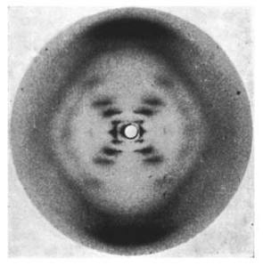 X-ray diffraction image of the double helix structure of the DNA molecule, taken 1952 by Raymond Gosling, commonly referred to as "Photo 51", during work by Rosalind Franklin on the structure of DNA