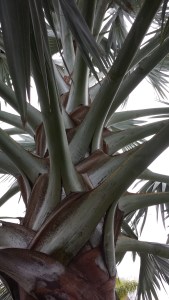 Not gonna see this in Rochester.