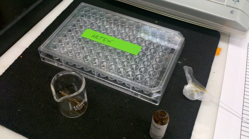 Put it in the tray. This one is labeled "Artex" for no discernible reason.