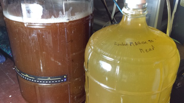 The honey weizen (left) just after being moved to the fermentation station. The yellow is the mead, which is about a month from bottling.