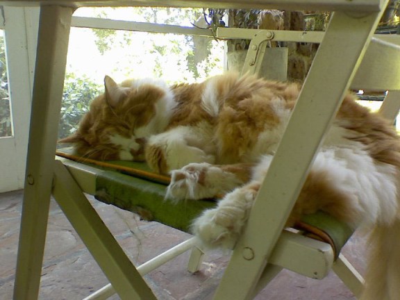 No matter how uncomfortable it may look.