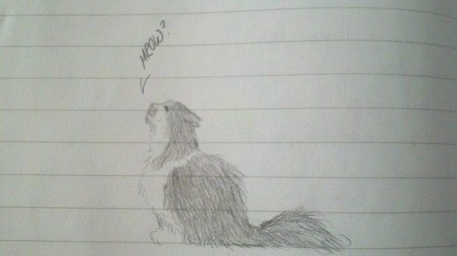 Charlie is frequently a topic of notebook sketches.