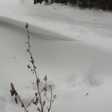 My footprints from two hours earlier were nearly consumed by the drift.